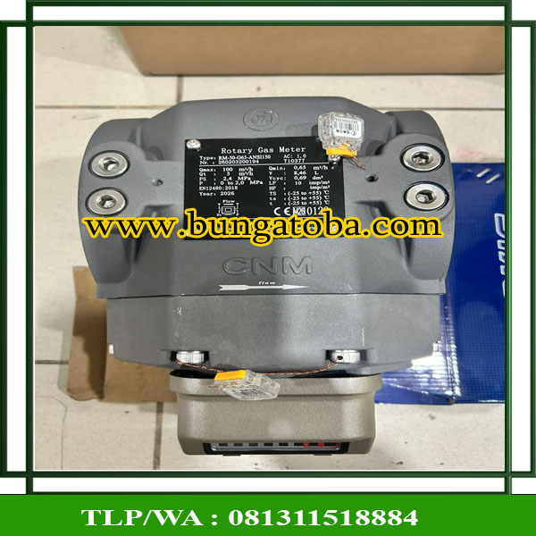 Rotary Gas Meter Cangnan