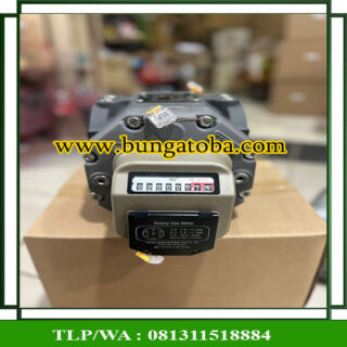 ROtary gas meter cangnan
