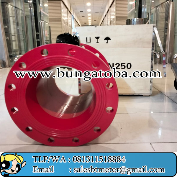 Magnos DN250 Flow meter