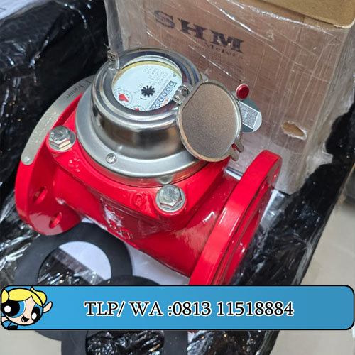 Hot Water Meter